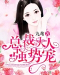 总裁大人强势宠