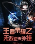 王者荣耀之无敌逆天外挂