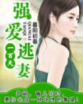 强爱逃妻一百天（复仇）