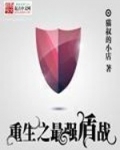 重生最强盾战