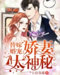 替嫁婚宠娇妻太神秘小说免费阅读