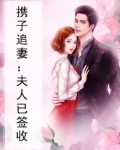 携子追妻:夫人已签收