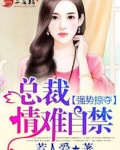 强势掠夺：总裁，情难自禁