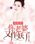 司先生，你老婆又作妖了
