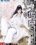 李小白传奇