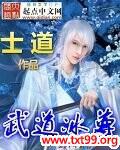 武道冰尊