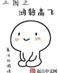 三国之鸿鹄高飞