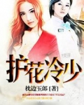 护花冷少