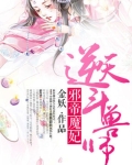 邪帝魔妃：逆天斗兽师