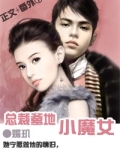 娇妻:总裁的小魔女