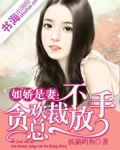 如娇是妻：贪欢总裁不放手