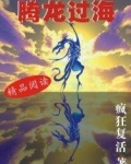 腾龙过海