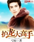 护龙大高手