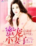 总裁索欢77次：蜜宠小妻子