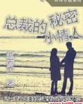 总裁的秘密小妻子
