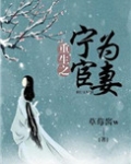 重生之宁为宦妻