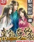 真仙奇缘