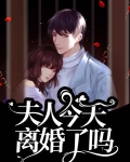 夫人今天离婚了吗？