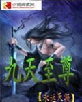 九天至尊