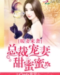 暖妻来袭：总裁宠妻甜蜜蜜