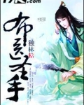 布医圣手