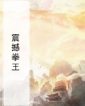 震撼拳王