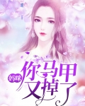 妈咪，你马甲又掉了