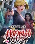我的极品女房客