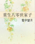 重生八零世家子