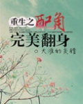 重生之配角完美翻身