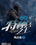 最强特种兵之王
