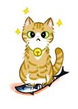 猫猫我啊，养两脚兽捏